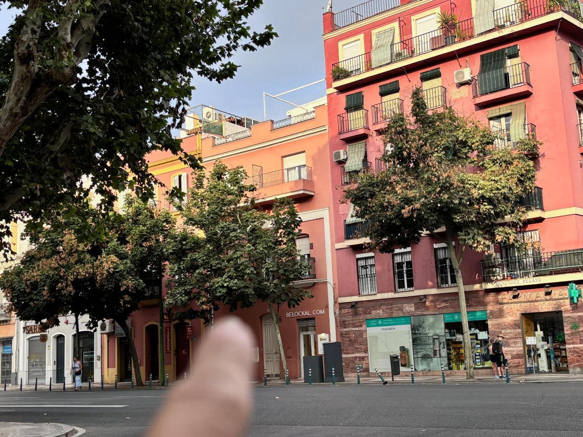 Apartamento Solete'S House 1A Sevilla Exterior foto